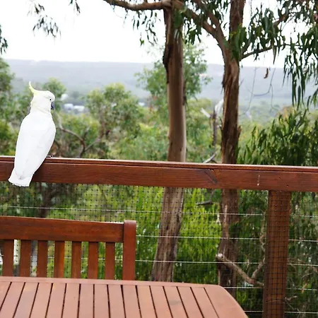 Tree Top Getaway Anglesea Exterior photo