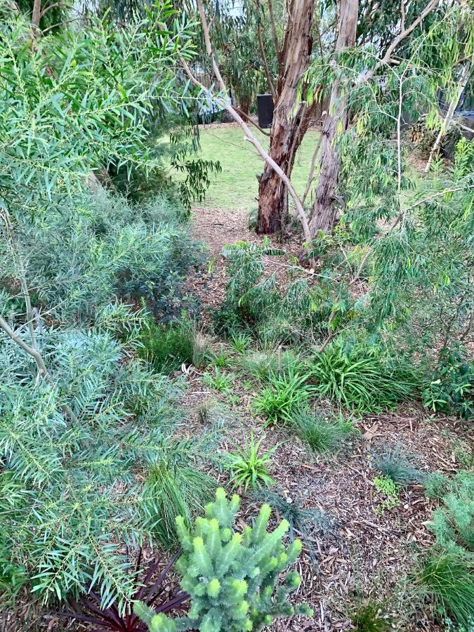 Tree Getaway * Anglesea
