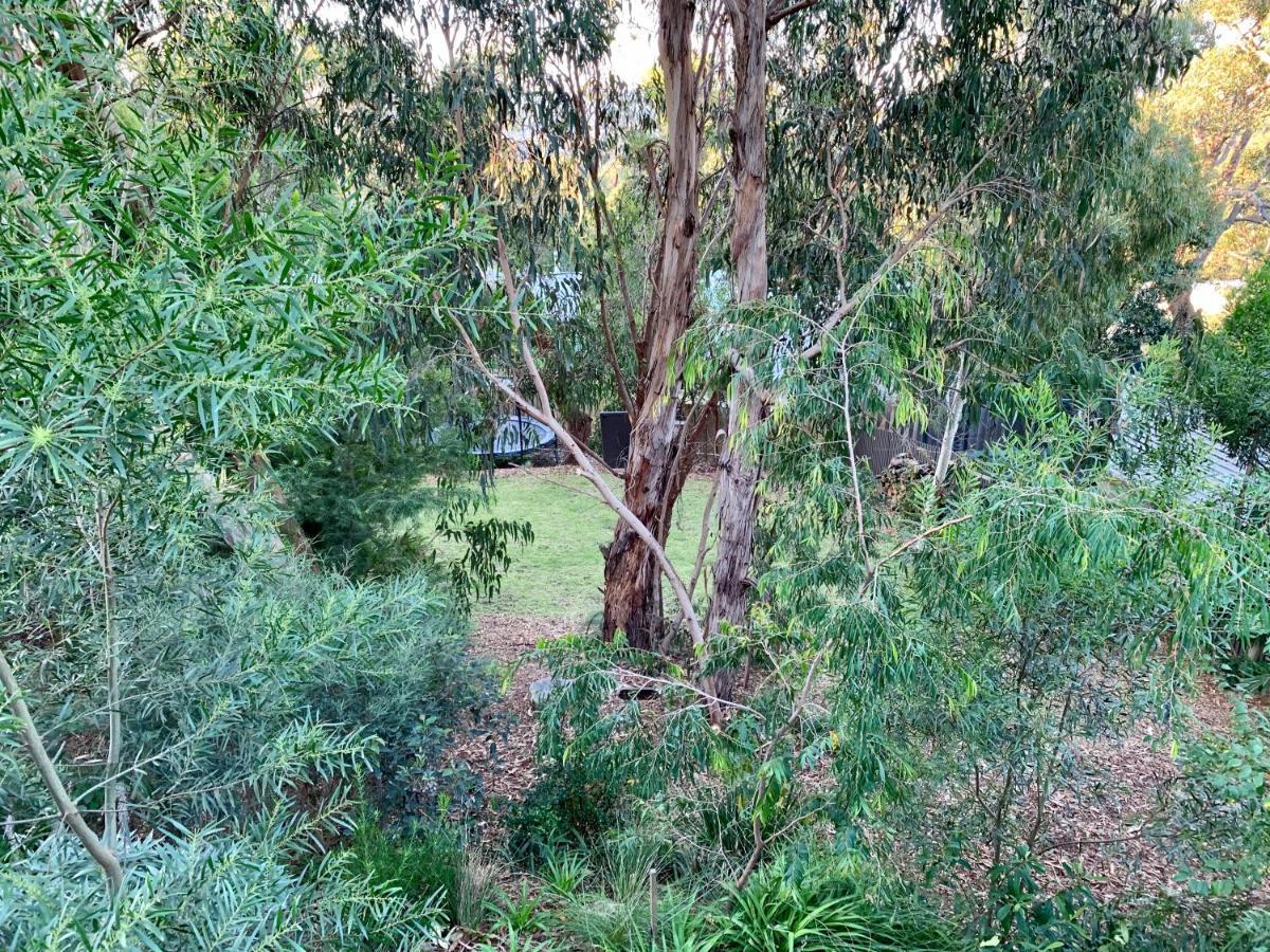 Holiday home Tree Getaway Anglesea